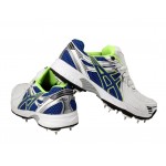 HDL Cricket Terminator Shoes Full Spikes White Blue Green'